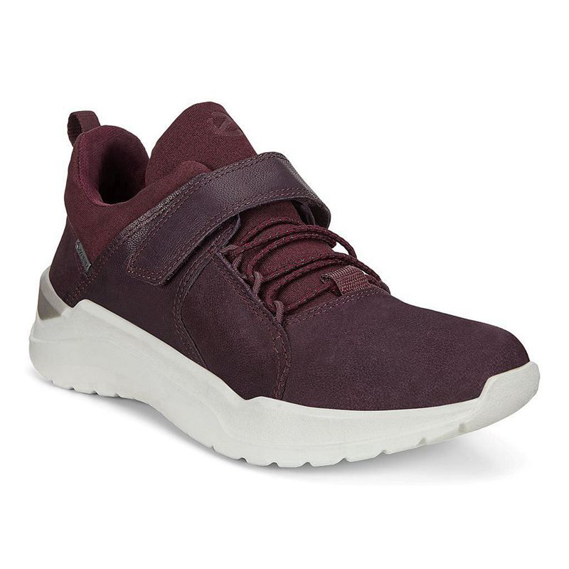 Kids Ecco Intervene - Sneakers Purple - India YSCBPL690